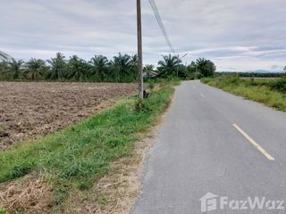 For sale land in Pak Phanang, Nakhon Si Thammarat
