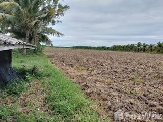 For sale land in Pak Phanang, Nakhon Si Thammarat