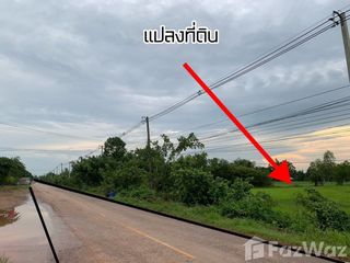 For sale land in Sakhrai, Nong Khai