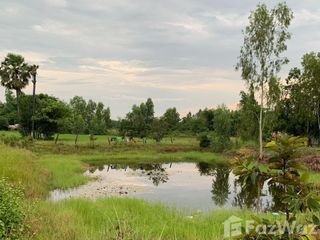 For sale land in Sakhrai, Nong Khai