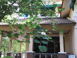 For sale land in Hua Sai, Nakhon Si Thammarat