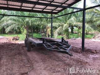 For sale land in Hua Sai, Nakhon Si Thammarat