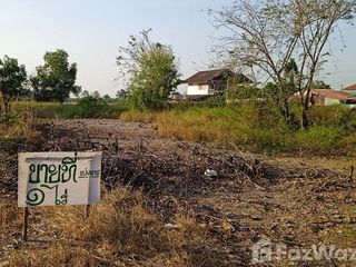 For sale land in Sena, Phra Nakhon Si Ayutthaya