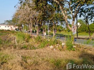 For sale land in Sena, Phra Nakhon Si Ayutthaya