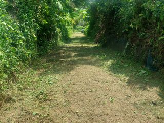 For sale land in Mueang Phayao, Phayao