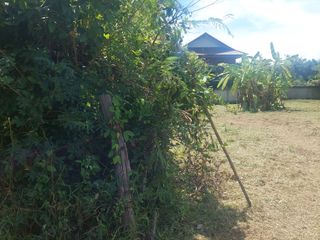 For sale land in Mueang Phayao, Phayao