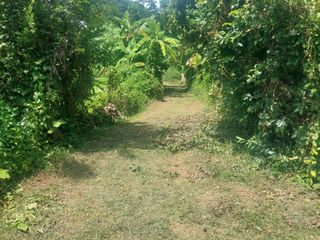 For sale land in Mueang Phayao, Phayao