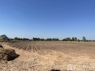 For sale land in Phrom Phiram, Phitsanulok