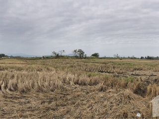 For sale land in Mueang Chiang Rai, Chiang Rai