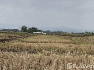 For sale land in Mueang Chiang Rai, Chiang Rai