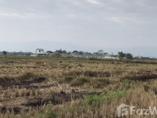 For sale land in Mueang Chiang Rai, Chiang Rai