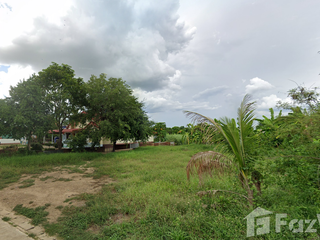 For sale land in Lan Krabue, Kamphaeng Phet