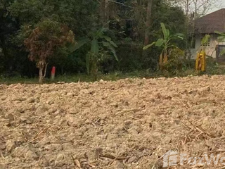 For sale land in Mae Sai, Chiang Rai