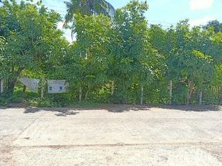 For sale land in Mueang Surin, Surin