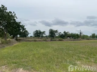 For sale land in Non Thai, Nakhon Ratchasima