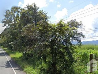 For sale land in Chun, Phayao