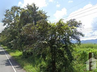 For sale land in Chun, Phayao