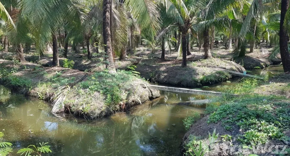 For sale land in Bang Khonthi, Samut Songkhram