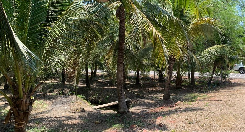 For sale land in Bang Khonthi, Samut Songkhram