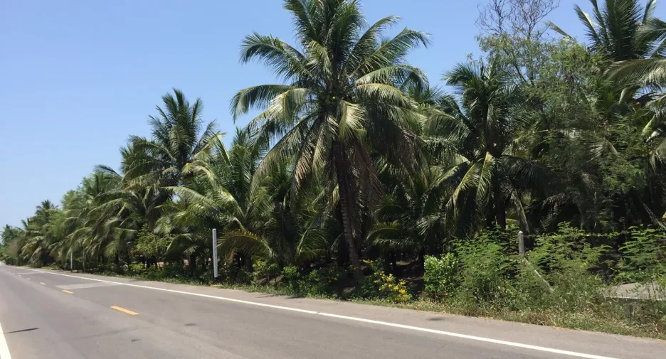 For sale land in Bang Khonthi, Samut Songkhram