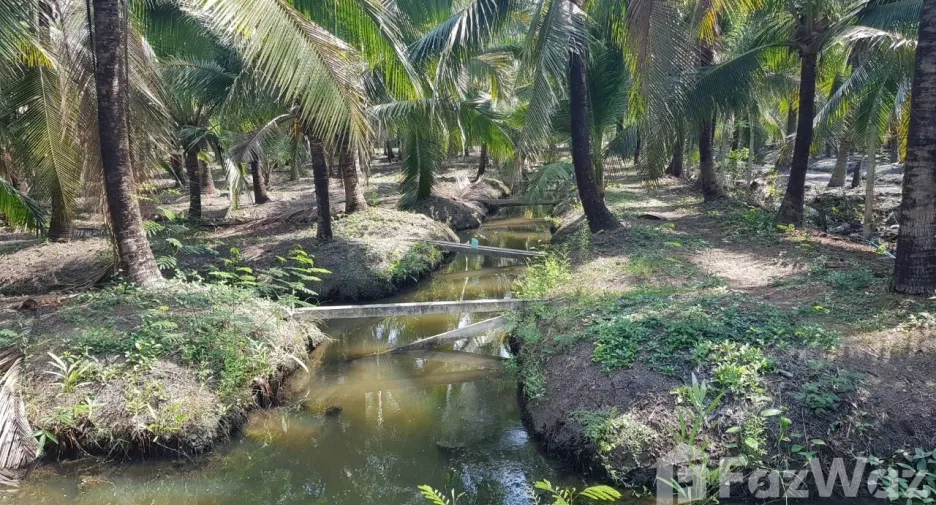 For sale land in Bang Khonthi, Samut Songkhram
