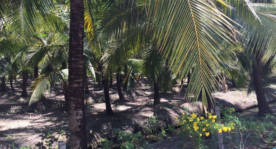 For sale land in Bang Khonthi, Samut Songkhram