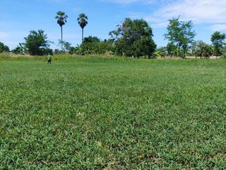 For sale land in Nong Chang, Uthai Thani