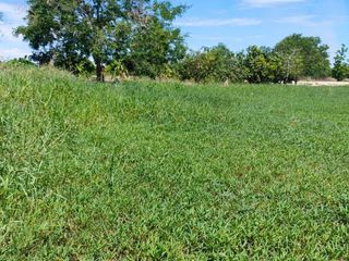 For sale land in Nong Chang, Uthai Thani