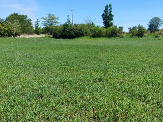 For sale land in Nong Chang, Uthai Thani