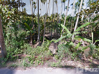 For sale land in Amphawa, Samut Songkhram