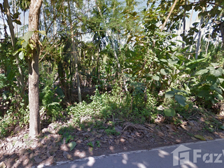 For sale land in Amphawa, Samut Songkhram