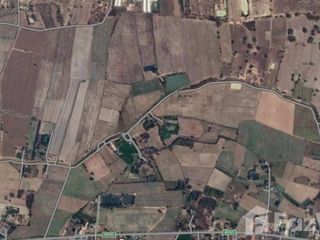 For sale land in Nong Ya Sai, Suphan Buri