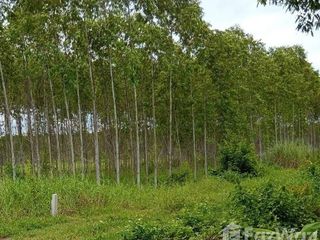 For sale land in Ko Chan, Chonburi