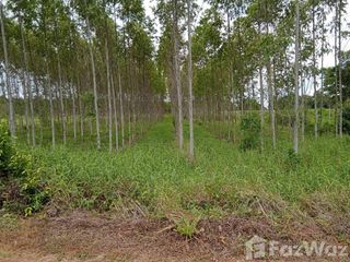 For sale land in Ko Chan, Chonburi