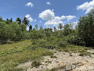 For sale land in Mueang Narathiwat, Narathiwat