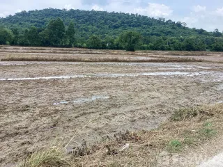 For sale land in Kaeng Khoi, Saraburi