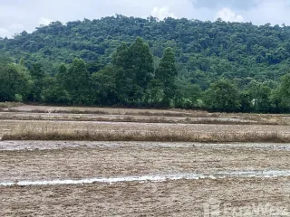 For sale land in Kaeng Khoi, Saraburi