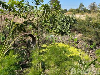 For sale land in Mueang Kamphaeng Phet, Kamphaeng Phet