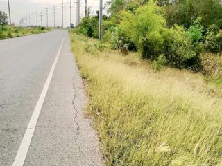For sale land in Sikhio, Nakhon Ratchasima