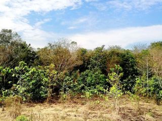 For sale land in Sikhio, Nakhon Ratchasima