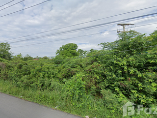 For sale land in Sao Hai, Saraburi
