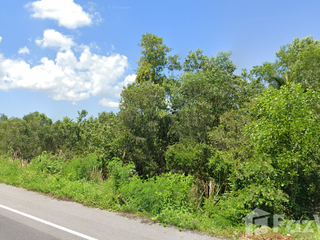 For sale land in Singhanakhon, Songkhla