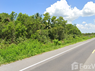 For sale land in Singhanakhon, Songkhla
