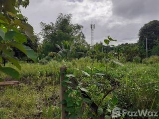 For sale land in Wiang Sa, Nan