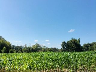 For sale land in Chiang Kham, Phayao