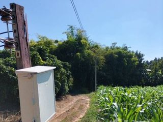 For sale land in Chiang Kham, Phayao