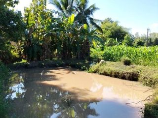 For sale land in Chiang Kham, Phayao