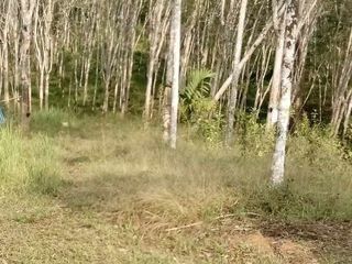 For sale land in Sawi, Chumphon