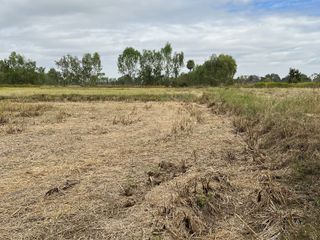 For sale land in Prakhon Chai, Buriram