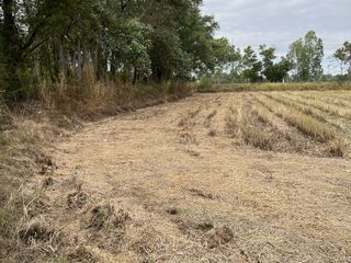 For sale land in Prakhon Chai, Buriram